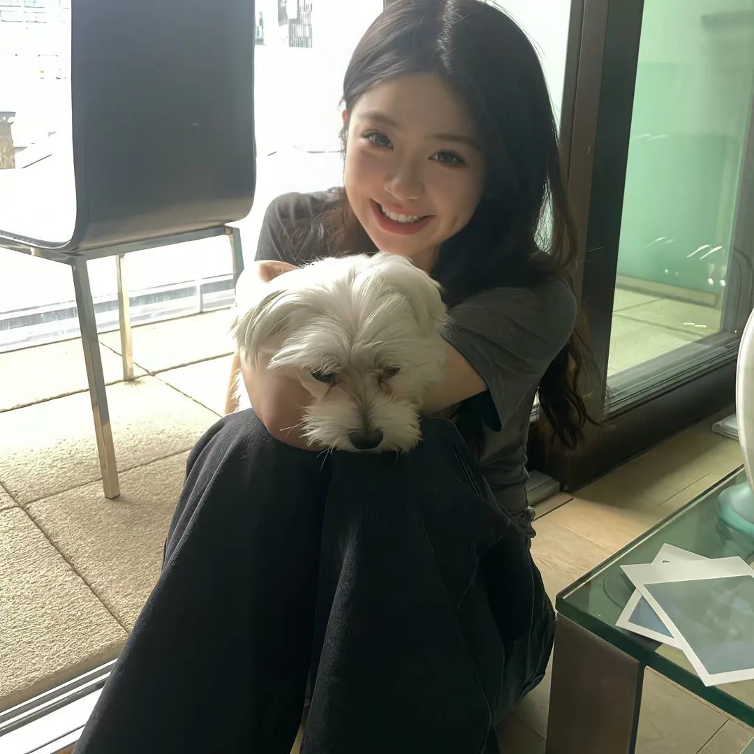 俏房东与妙房客 海报